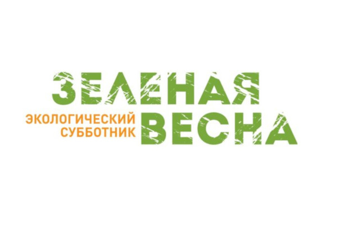 Подведены итоги региональной экологической акции «Зеленая весна 2024»