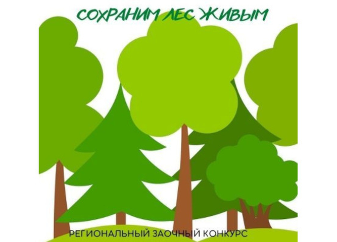 Подведены итоги регионального конкурса «Сохраним лес живым»