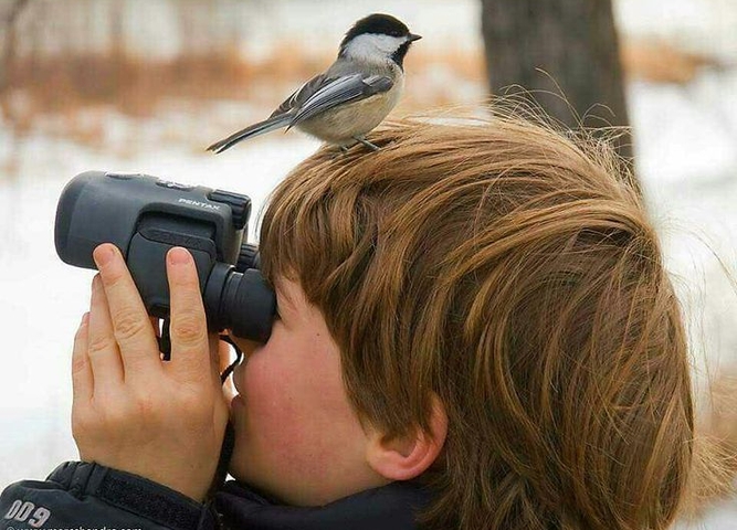 Приглашаем к участию в конкурсе «Птичья гавань»