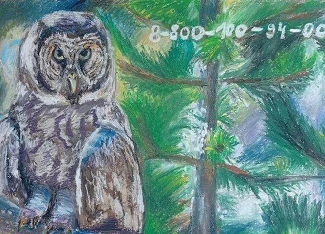 Названы победители регионального заочного конкурса «Сохраним лес живым»