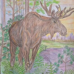 Подведены итоги регионального заочного творческого конкурса школьных лесничеств «Дети о лесе»