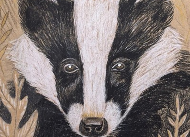 Подведены итоги регионального заочного творческого конкурса школьных лесничеств «Дети о лесе»