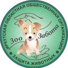 Участвуйте в благотворительной акции «Пушистый мир хвостатого!»