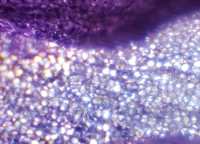 В «Кванториуме Сибирь» подвели итоги конкурса микрофотографий «Мир в объективе микроскопа»