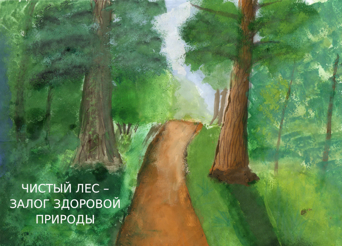 Названы победители конкурса «Наша работа – о лесе забота»