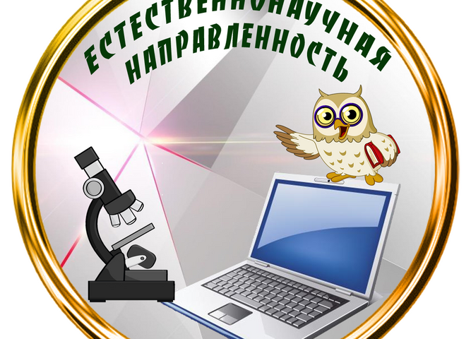 О мониторинге дополнительного образования детей естественнонаучной направленности в Иркутской области