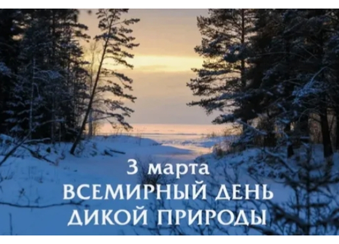 Приглашаем к участию в пешем походе по Прибайкальскому национальному парку