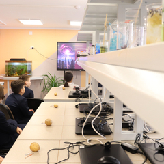 В детском технопарке «Кванториум Сибирь» отметили День Российской науки