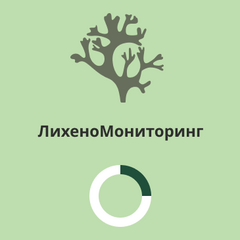 Школьники разработали уникальное приложение «Лихеномониторинг», которое помогает определить чистоту воздуха Приангарья 